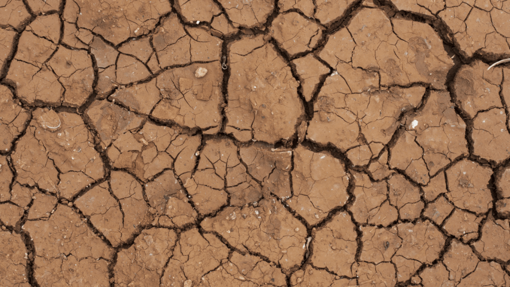 a close up view of a dry, cracked surface