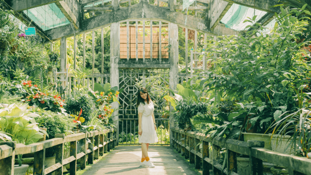 a plant in the green house