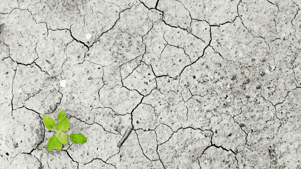 a close up view of a dry, cracked surface