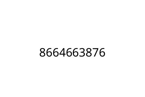 8664663876