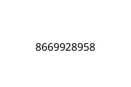 8669928958