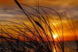 meaningful encouragement encouragement african american good morning quotes