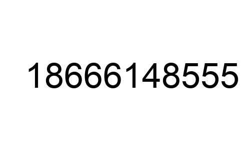 18666148555