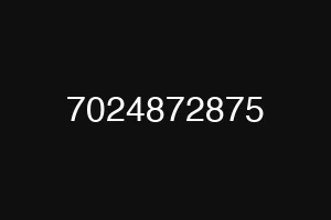 7024872875