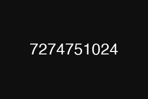 7274751024