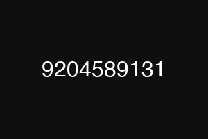 9204589131
