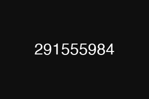 291555984