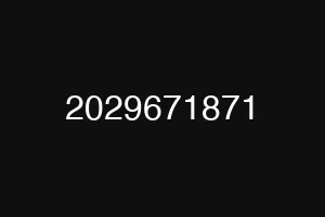 2029671871