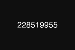 228519955