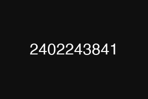 2402243841