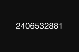 2406532881