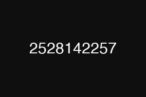 2528142257