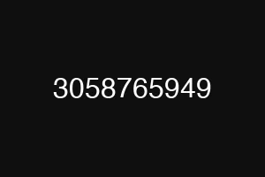3058765949