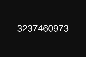 3237460973