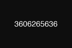 3606265636